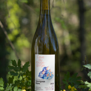 Sauvignon blanc du Rouge-Gorge 2025